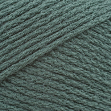 Teal (2744)