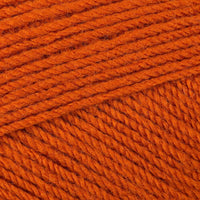 Orangutan (3381)