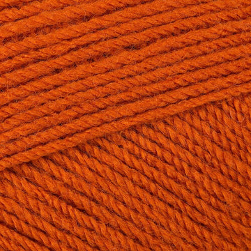 Orangutan (3381)