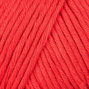 Rot (58)