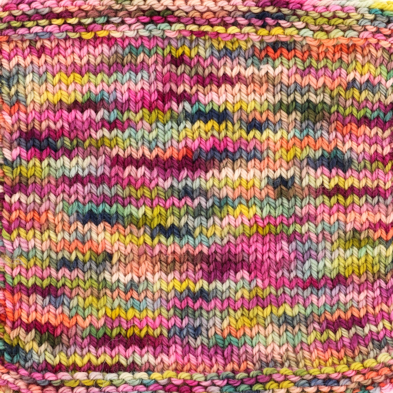 Koigu Jasmine Yarn - Merino Wool DK