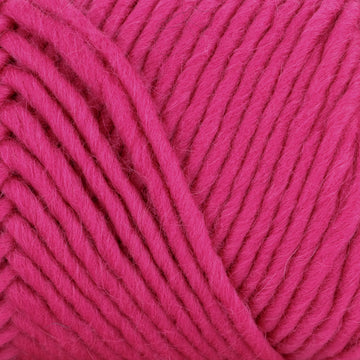 Lotus Pink