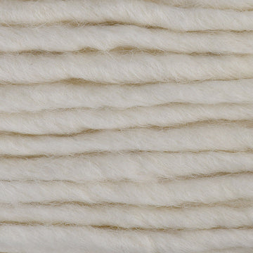 Snowshoe Hare (6701)