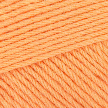 Melon Sorbet (1216)