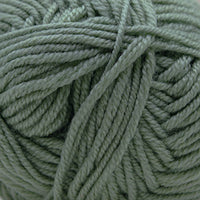 Desert sage (76)