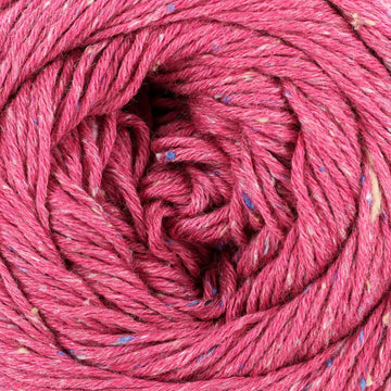 Fuchsia (8873)