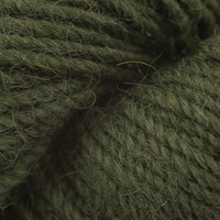 Fern (04247)