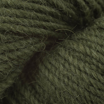 Fern (04247)