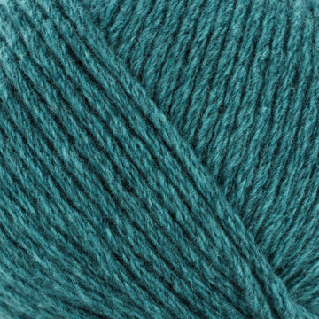 Ocean (201362)