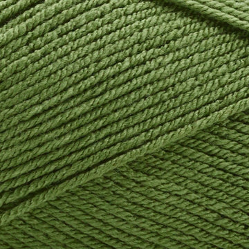 Olive (150)