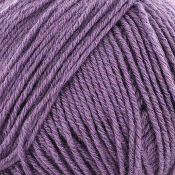 Lavender (DUPL5833)