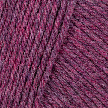 Fuschia  (2)
