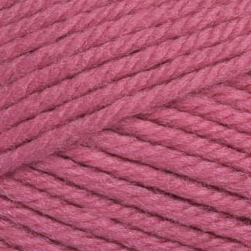Hibiscus (3331)