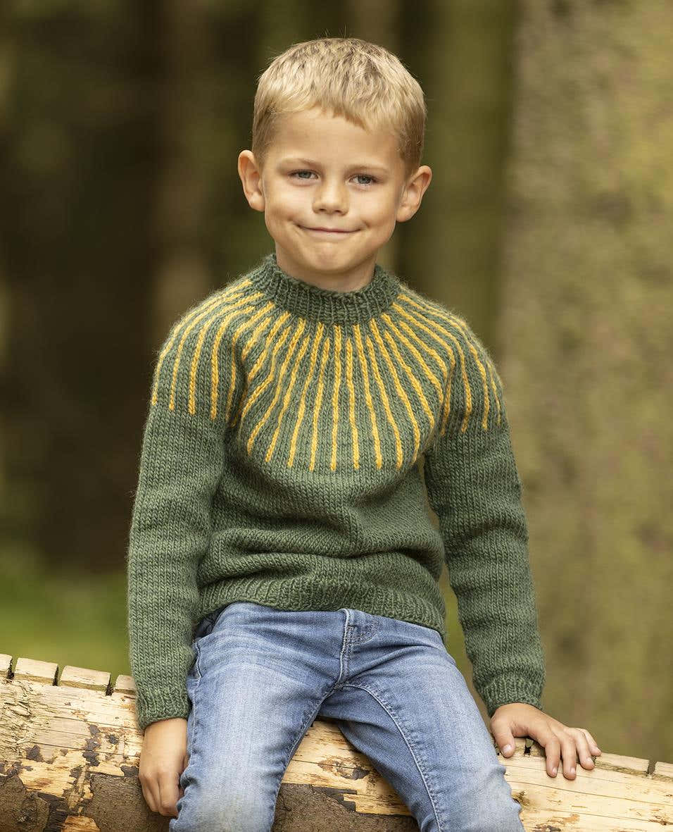 Aldis Sweater In Green in Viking Garn Viking Wool