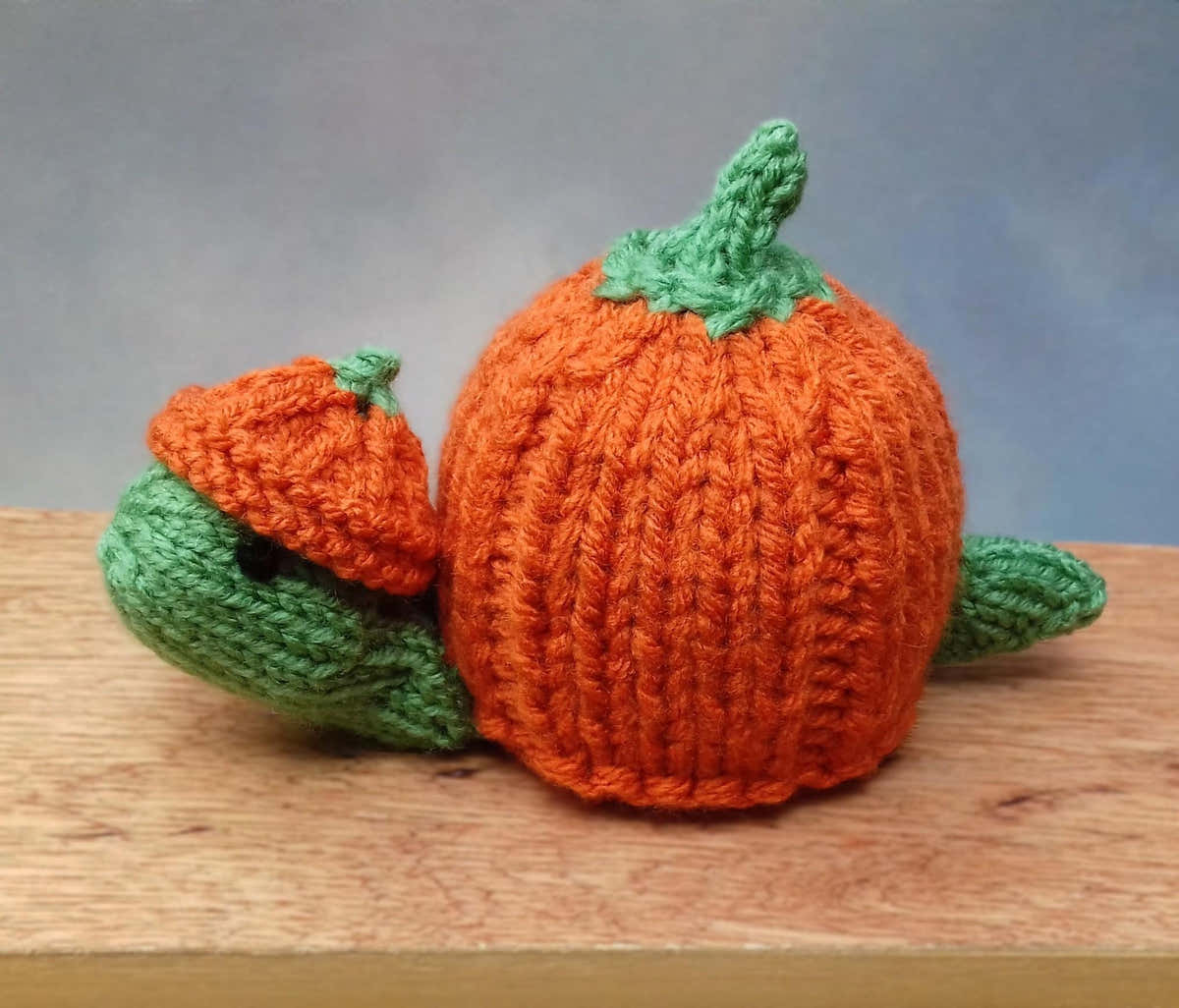 Pumpkin Tortoise - Chocolate Orange Cover
