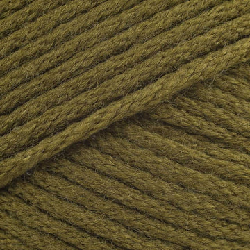 Olive (9781)