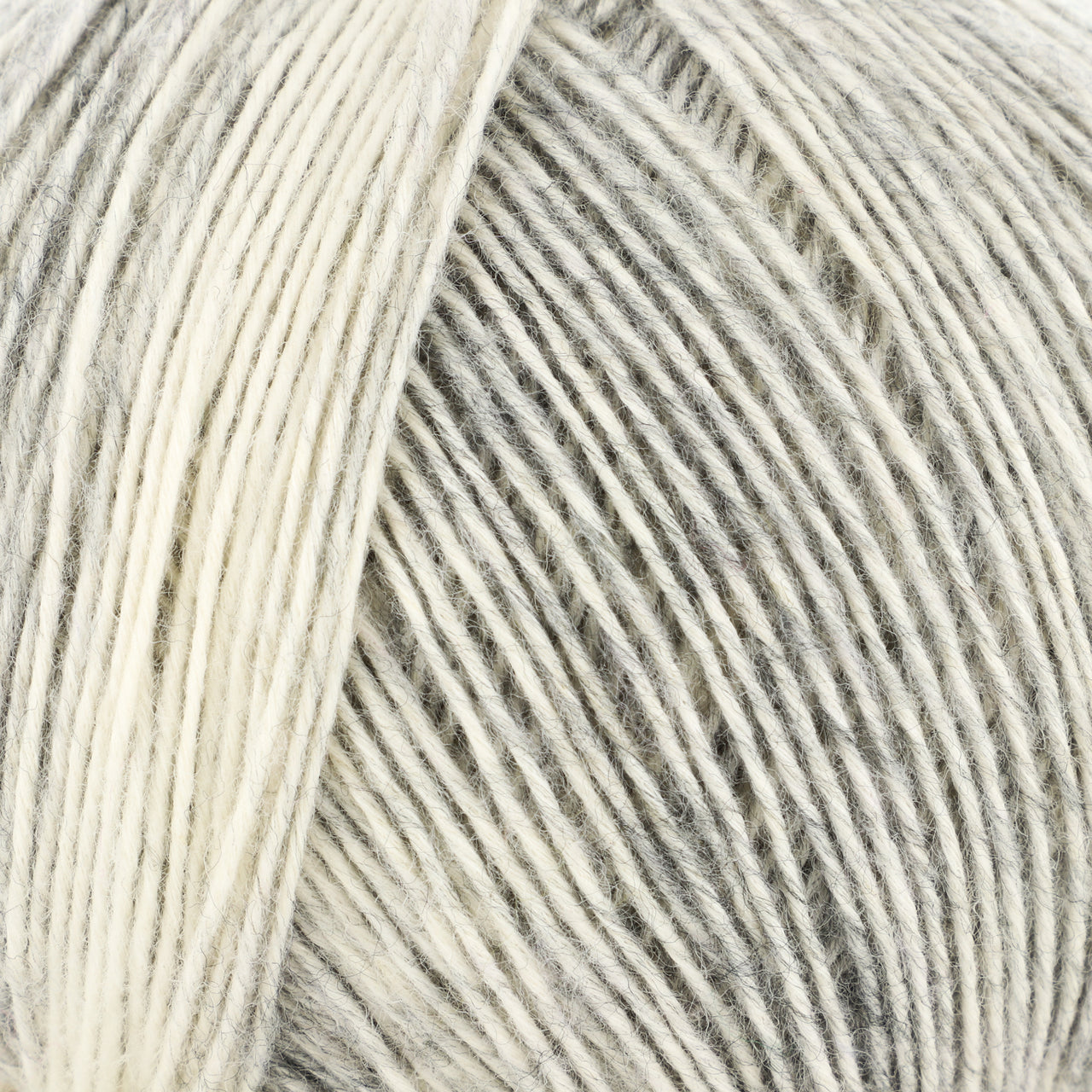 Trendsetter Yarns Basis Yarn - Cotton Sport