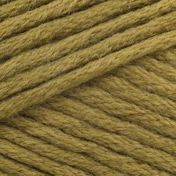 Sprig (5721)