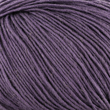 Purple (40)