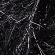 Black (230)