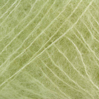 Lime (12)