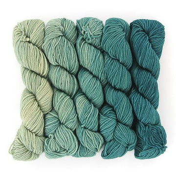 Wonderland Yarns Mad Hatter 5-Skein Pack Yarn - Superwash Merino Sport