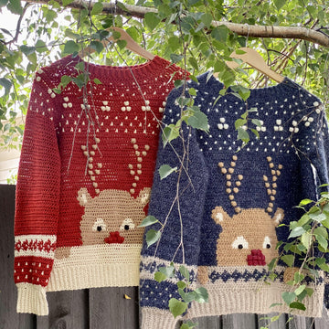 The Rudolph Jumper