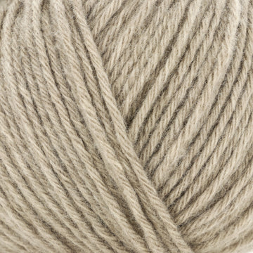 Muscrat (47)