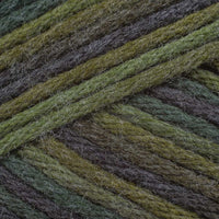 Maine Woods (9839)