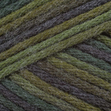 Maine Woods (9839)