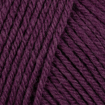 Blackberry  (19)