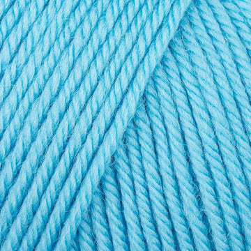 Bachelor Button (227)