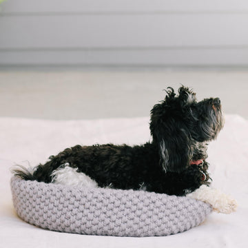 Harbor Pet Bed