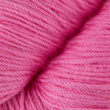 Pink Carnation (5748)