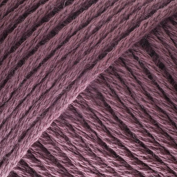 Smoky Plum (CW821)