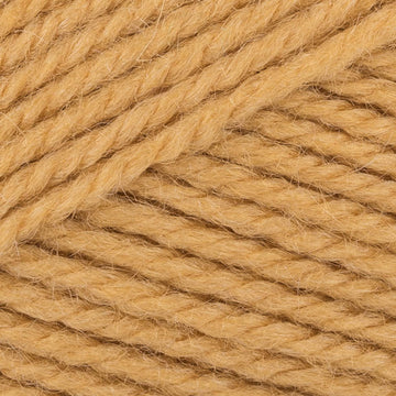 Butterscotch (2413)