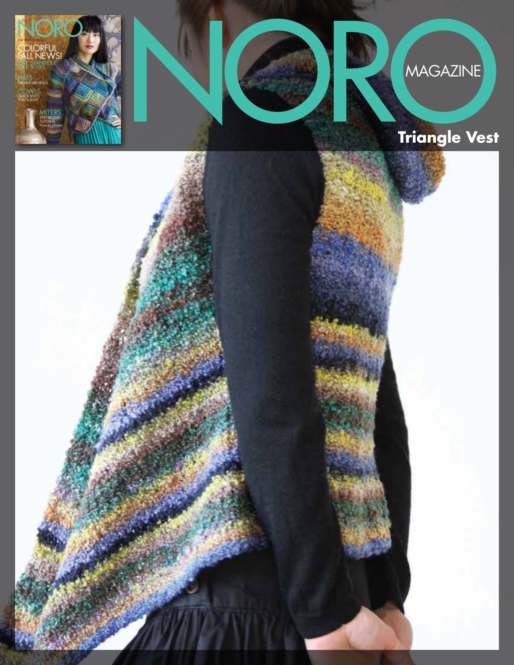 Noro Triangle Vest Knitting Pattern