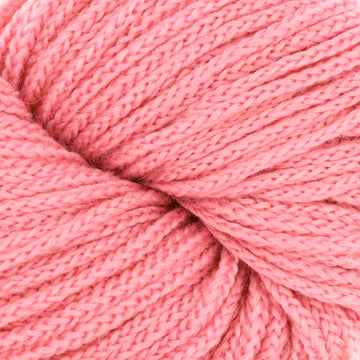 Flamingo (27)