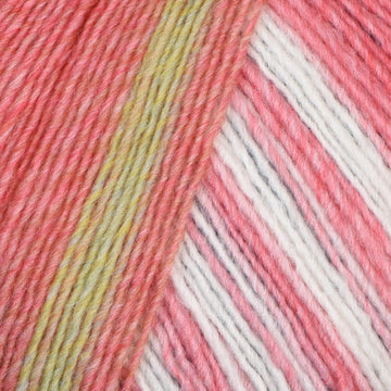 Denim, Yellow, Rose, Coral (304)