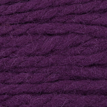 Dark Plum (8885)