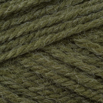 Moss (3370)