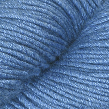 Blueberry (624)