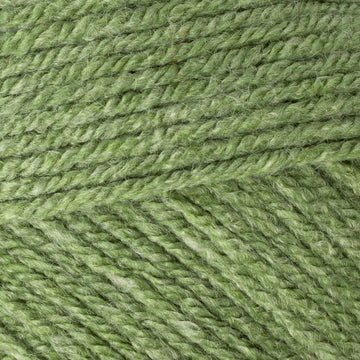 Grass (1809)