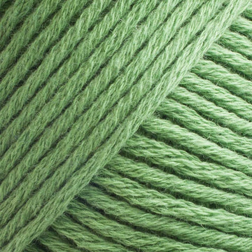 Lime Light (CW840)