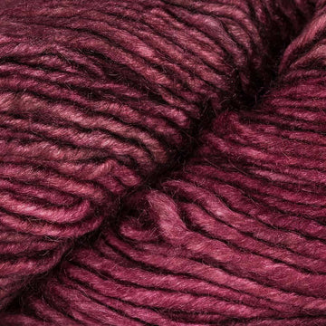 Jupiter (SM049)