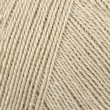 Camel (63)