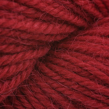 Cardinal (04234)