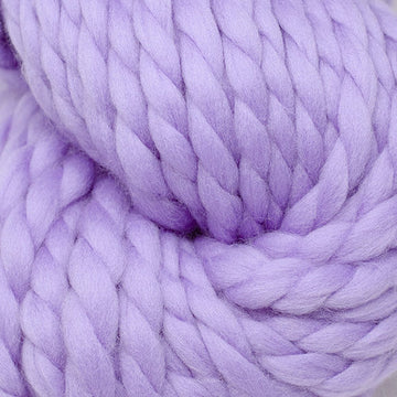 Lilac Daisy (1416)