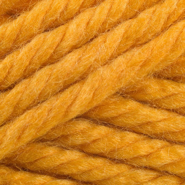 Atlanta Apricot (131)