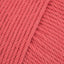 Coral (64)